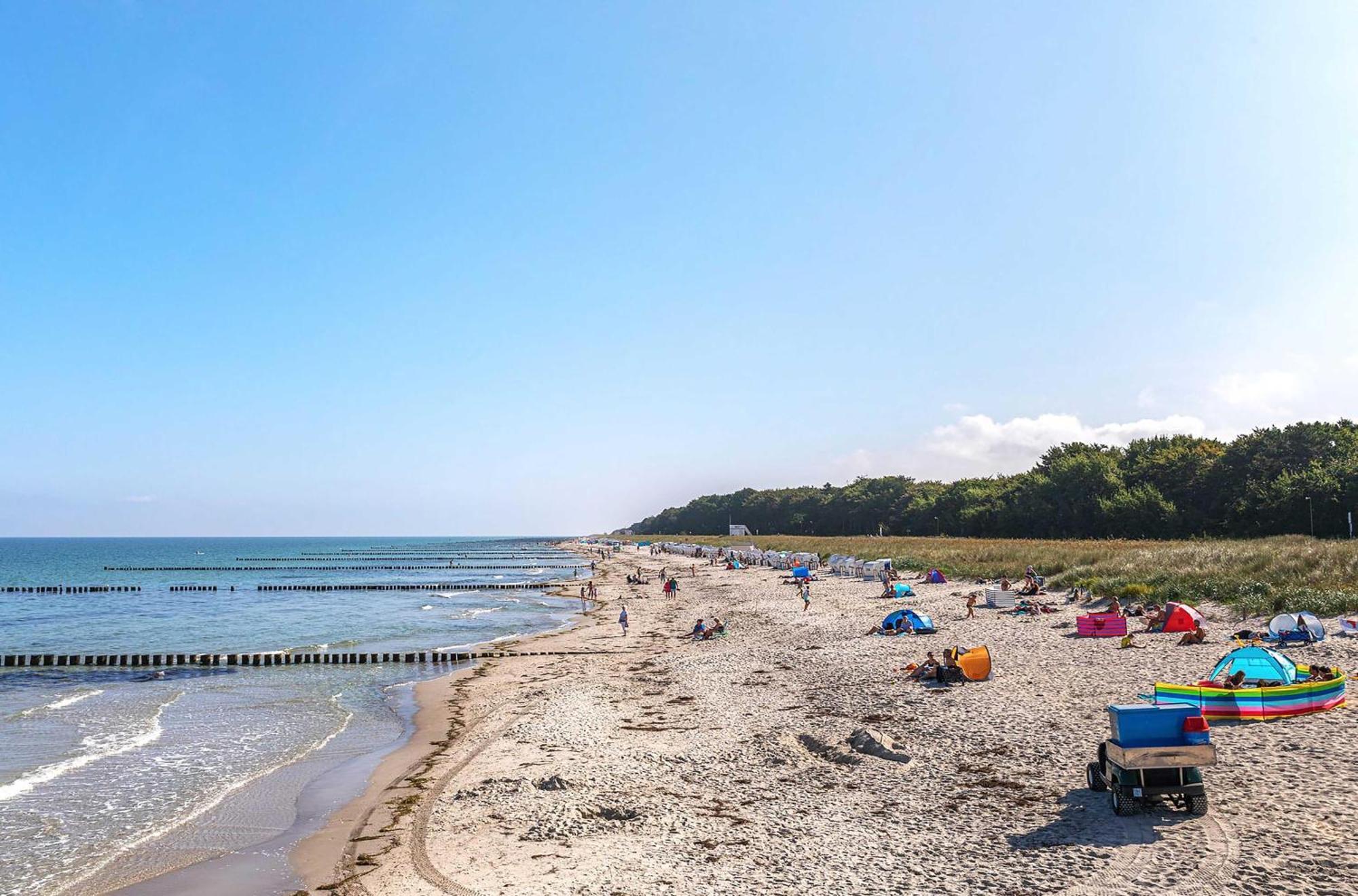 Seebaer Mit Terrasse Zingst Kültér fotó