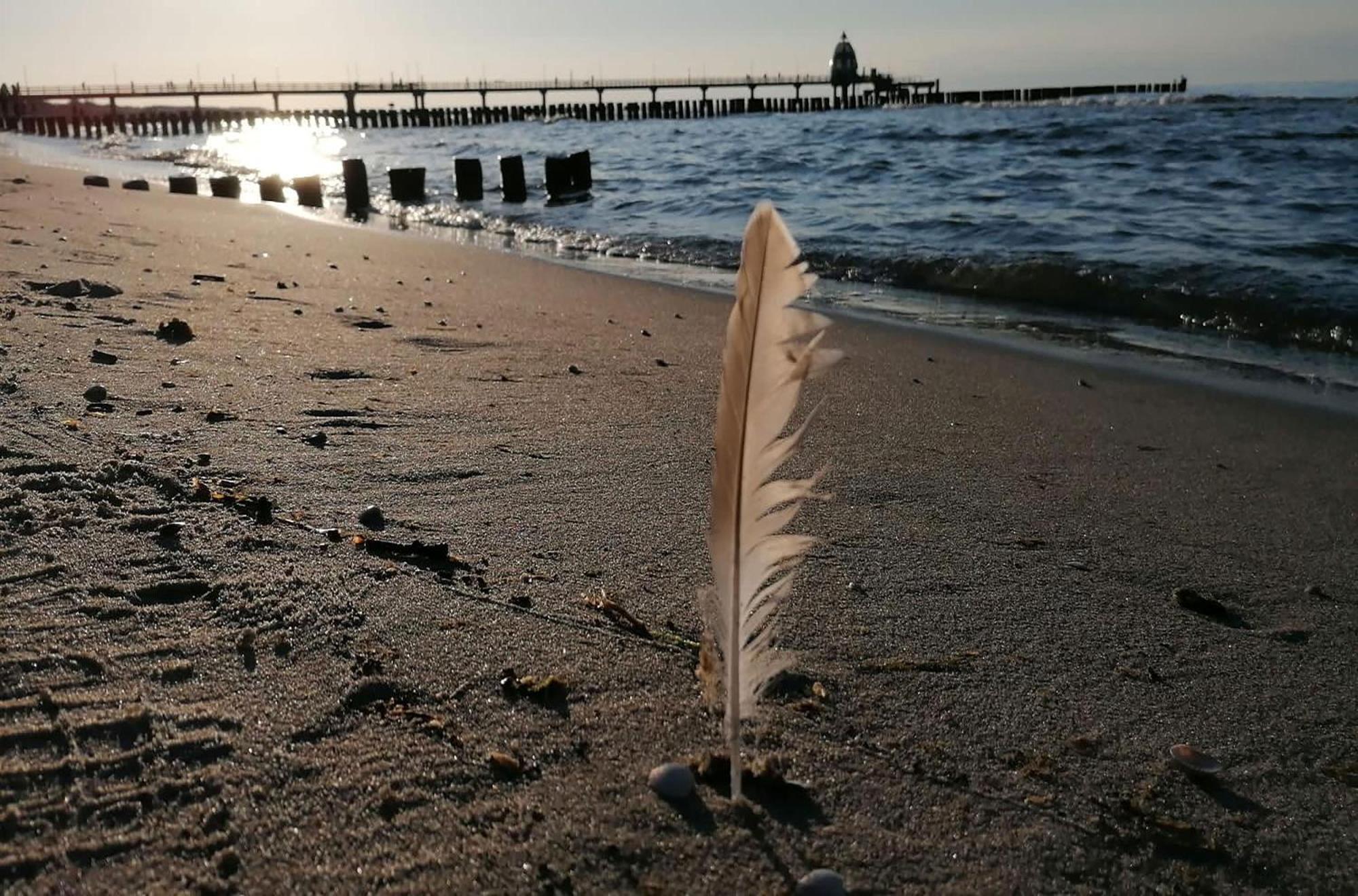 Seebaer Mit Terrasse Zingst Kültér fotó